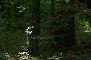 paintball0004.jpg