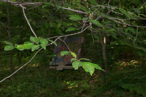 paintball0006.jpg