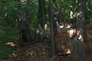 paintball0010.jpg