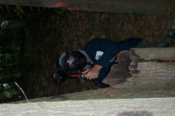 paintball0014.jpg