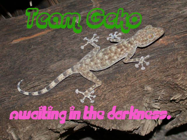 geko-girl.jpg