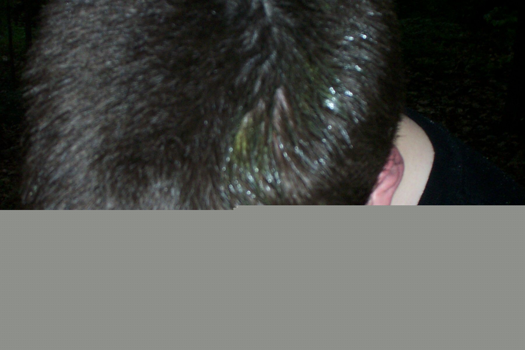 paintball0019.jpg